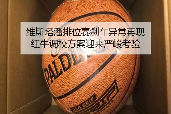 维斯塔潘排位赛刹车异常再现 红牛调校方案迎来严峻考验（App）